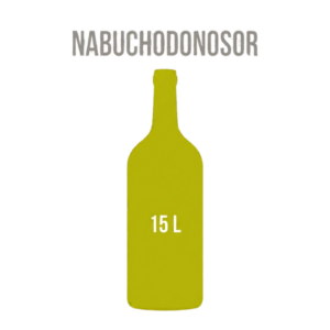 am-nabuchodonosor