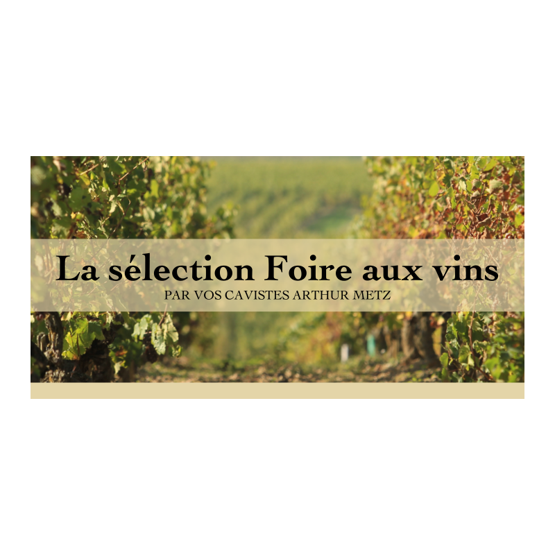 Découvrez notre Foire aux Vins