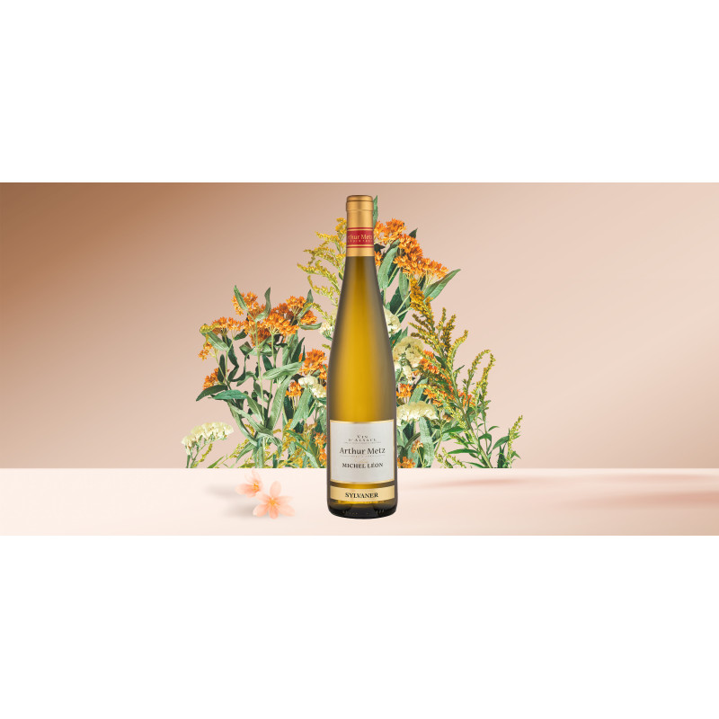 Vin Blanc d'Alsace Sylvaner | Arthur Metz