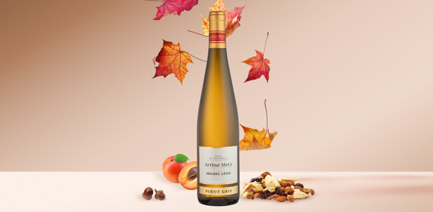 Vin Blanc d'Alsace Pinot Gris | Arthur Metz