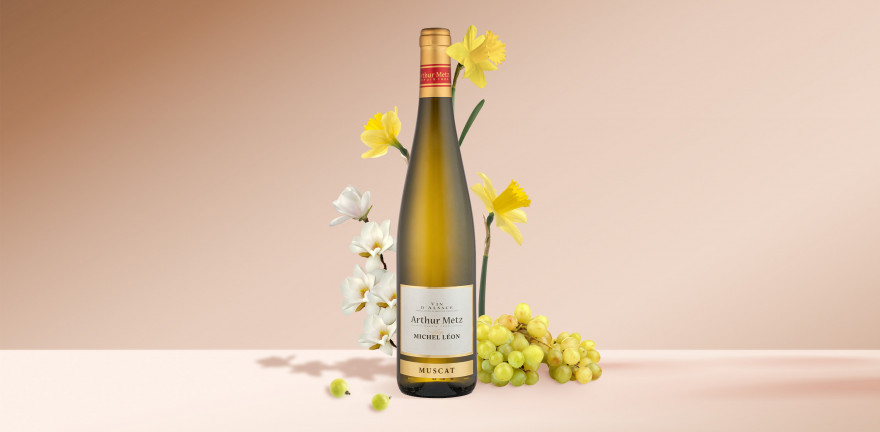 Vin Blanc d'Alsace Muscat | Arthur Metz