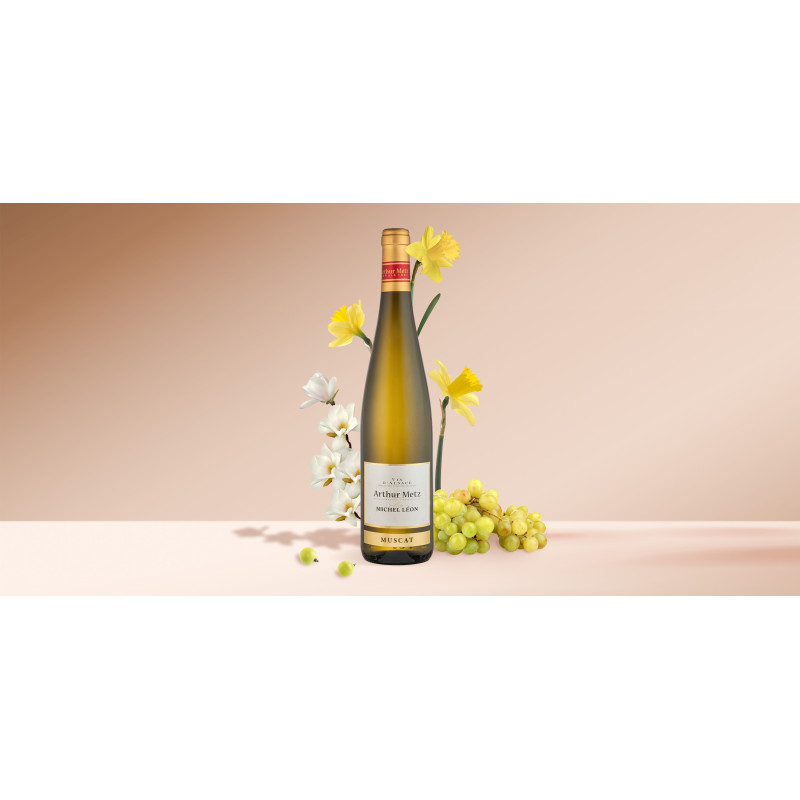 Vin Blanc d'Alsace Muscat | Arthur Metz